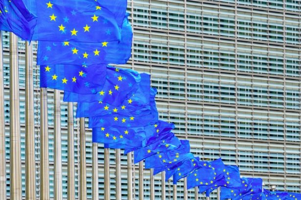 12 tari ue printre care si romania solicita comisiei europene sa protejeze alegerile din europa de interferentele straine 679b91ab18354