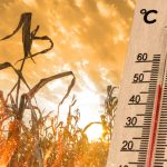 2024 a fost cel mai cald an din istorie. NASA confirmă că recordul de temperatură a fost depășit. 2 2024 a fost cel mai cald an din istorie nasa recordul de temperatura a fost spulberat 678777b8ee1f7