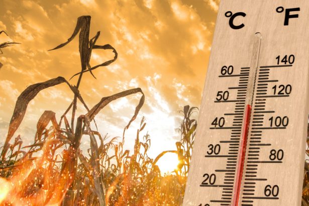 2024 a fost cel mai cald an din istorie nasa recordul de temperatura a fost spulberat 678777b8ee1f7