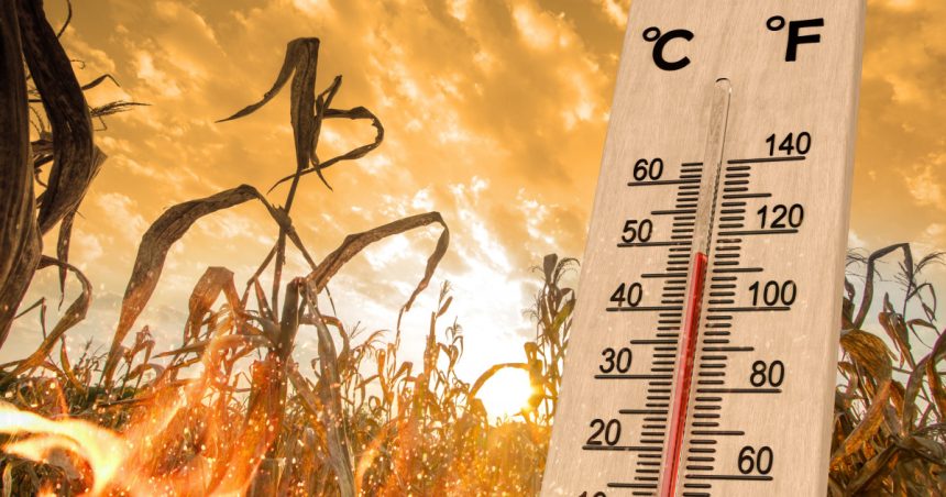 2024 a fost cel mai cald an din istorie. NASA confirmă că recordul de temperatură a fost depășit. 1 2024 a fost cel mai cald an din istorie nasa recordul de temperatura a fost spulberat 678777b8ee1f7