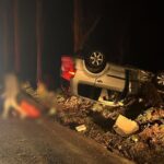 accident cumplit aproape de tulcea trei tinere au trecut pe langa moarte masina in care se aflau a intrat intr un pom 677a506a55c9f