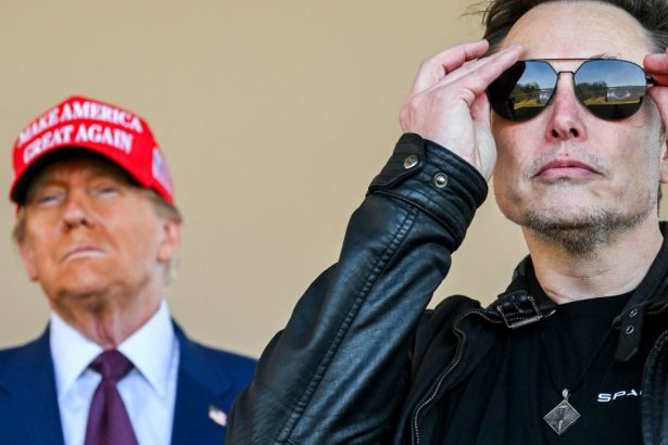analiza ce ar avea de castigat elon musk din tulburarea apelor politice din europa 679497bc9b822