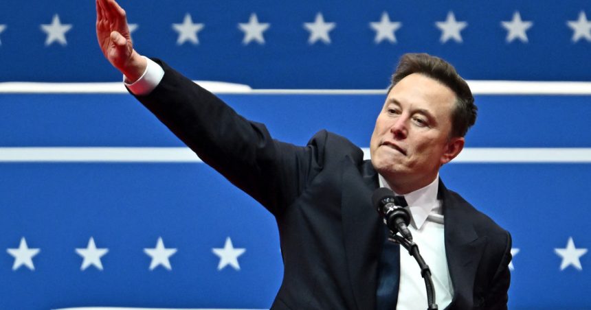 analiza de ce sustine elon musk extrema dreapta germana si care ar putea sa fie consecintele retoricii sale 679c682762445
