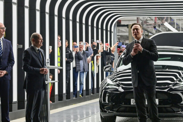 analiza dubla ingerinta care pune in pericol europa elon musk si rusia cazurile romania si germania 677e0e95091a8