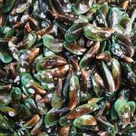 anul acesta vor fi gasite midii si stridii produse in fermele pisciole din marea neagra da asigurari ministrul mediului 678fb93c6028d