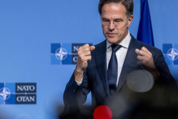 avertismentul sefului nato mark rutte cheltuiti mai mult pentru aparare sau puneti va pe invatat rusa ori plecati in noua zeelanda 67866f5235acc