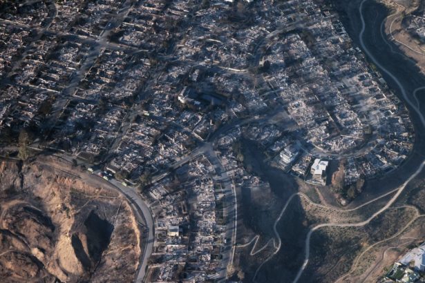 avertismentul unui arhitect dupa distrugerile provocate de incendiile din los angeles am construit orase fara legatura cu mediul 678cdca26dec6