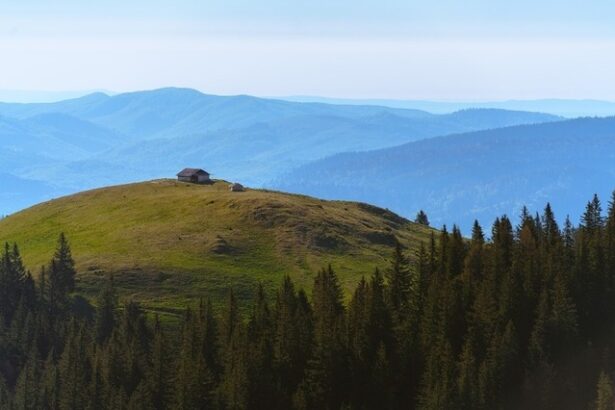 bnr prezinta riscurile climatice asupra sectorului bancar din romania a pierdut prin defrisari kilohectare de paduri 677824cd58f6c