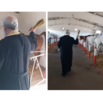 Botezul cailor la Herghelia Mangalia: O tradiție străveche păstrată cu mândrie 3 botezul cailor la herghelia mangalia o traditie straveche pastrata cu mandrie 677c320f4b6ad