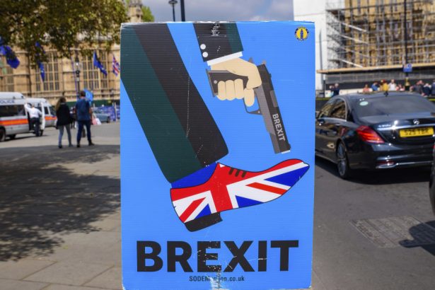 britanicii regreta iesirea din uniunea europeana ce arata sondajele la cinci ani de la brexit 679a43afdb91f