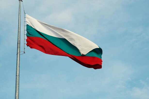 bulgaria schengen ne aduce o crestere a exporturilor de peste 10 6781518986279