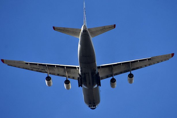 cati romani risca sa fie expulzati din sua 1300 dintre ei au ordinele de deportare deja semnate 679b56095d0d0