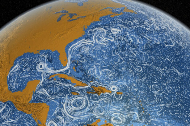 cel mai batran animal descoperit vreodata ar putea dezvalui cand un curent oceanic crucial va suferi un colaps catastrofal 6777773278e7d