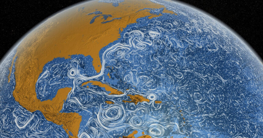 cel mai batran animal descoperit vreodata ar putea dezvalui cand un curent oceanic crucial va suferi un colaps catastrofal 6777773278e7d