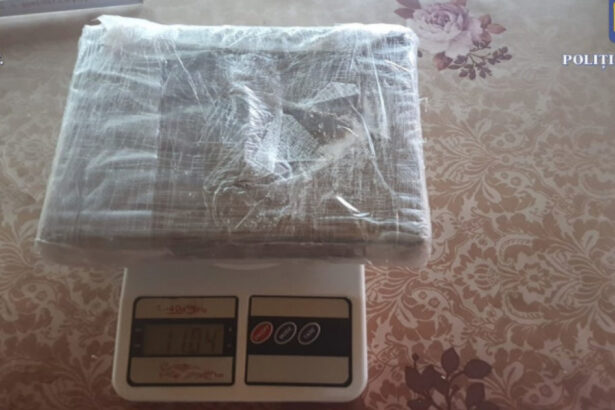 cocaina extrasa din cafea intr un laborator dintr o cabana izolata din bihor ce pedepse au primit traficantii 67800957e09ca