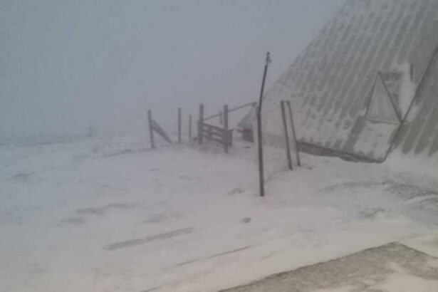 cod rosu de vant in judetul cluj zona in care rafalele vor atinge 140 de kilometri pe ora 677788dc63b1e