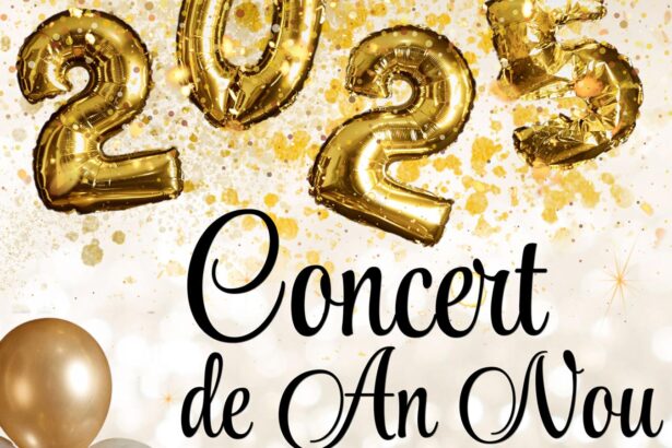concert de an nou teatrul national de opera si balet oleg danovski 677b63e1957a9