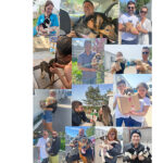 constanta 239 de catei si au gasit casute in 2024 cum puteti adopta un prieten cu patru labute 677e2fcf903b3