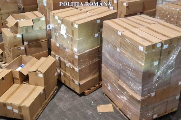 container cu peste cinci milioane de tigarete descoperit in portul constanta 6787a0f2d77b9