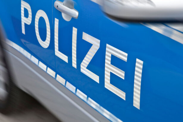 crima macabra in germania un cuplu a ucis o refugiata din ucraina si pe mama ei pentru a le fura bebelusul ce au declarat acestia 677d516da8302