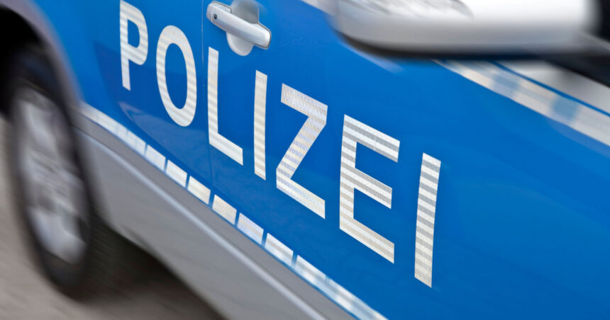 crima macabra in germania un cuplu a ucis o refugiata din ucraina si pe mama ei pentru a le fura bebelusul ce au declarat acestia 677d516da8302