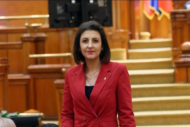cristina rizea director la cnapmc va coordona comunitatea portuara 6783867ce824a