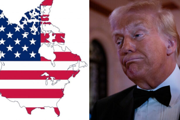 cum poate contracara canada forta economica cu care donald trump a amenintat ca va transforma tara in al 51 lea stat american 677f644703869