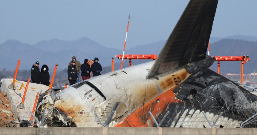 cum reusesc unii oameni sa supravietuiasca in accidente aviatice in care aproape toti cei aflati la bord mor 6784321b69c04