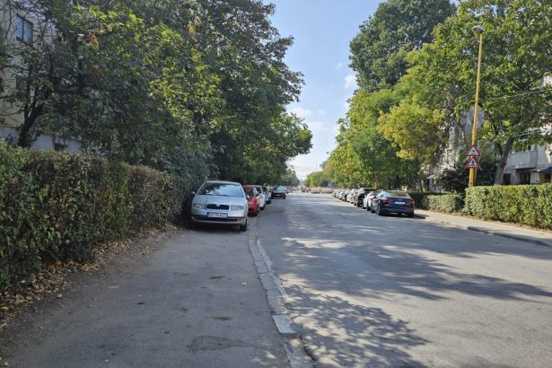 cum soliciti un loc de parcare de resedinta sau cum iti poti face un abonament pentru zona 2 ca sa scapi de noua taxa pentru ocuparea domeniului public 6784e93ca8df7