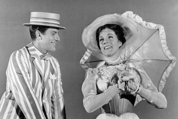 dick van dyke cel mai in varsta actor premiat cu emmy vedeta din mary poppins 677aa8a37c039