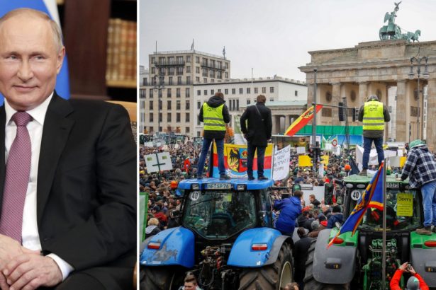 dilema ue privind ingrasamintele cum sa distrugi profiturile lui putin fara a lovi fermierii aflati deja in pragul revoltei 679caa2512336