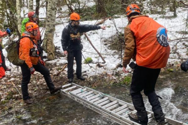 doi barbati care au plecat sa l vaneze pe bigfoot au murit in padure care a fost cauza decesului 6777cf223c653