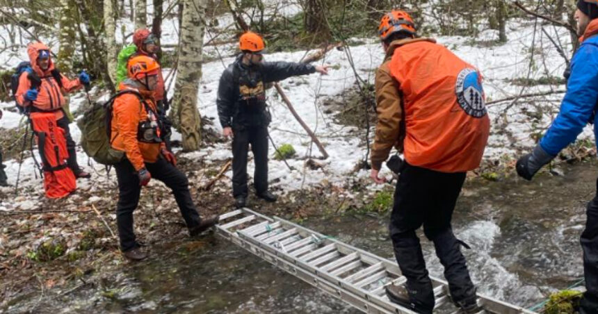 doi barbati care au plecat sa l vaneze pe bigfoot au murit in padure care a fost cauza decesului 6777cf223c653