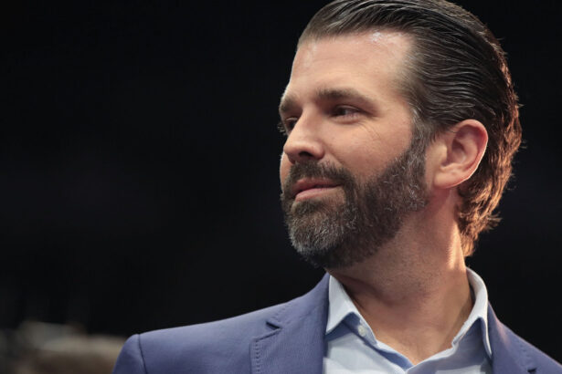 donald trump jr va vizita groenlanda anuntul ministrului danez de externe 677cd9f6b4c30
