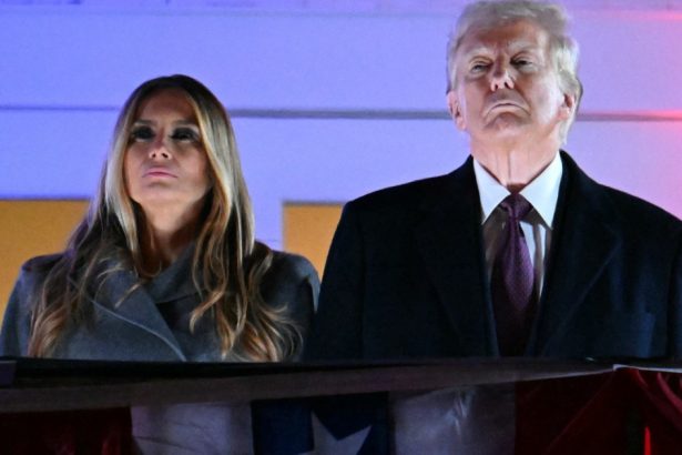 donald trump si sotia sa melania au intrat pe piata criptomonedelor ce niveluri ating monedele lor la o zi dupa lansare 678df96a8f8a6