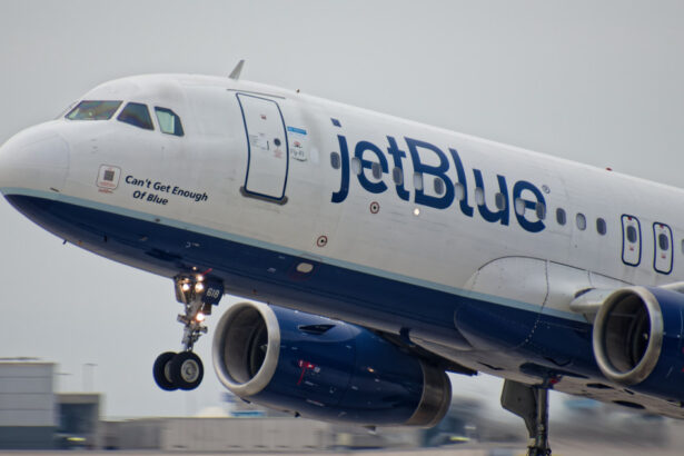 doua cadavre au fost descoperite in trenul de aterizare al unui avion jetblue care zbura din new york 677d8c835e656