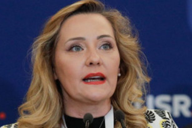 elena lasconi critica modificarile programului de vot in diaspora asistam la o discriminare cere avocatului poporului sa intervina 678923bef3794