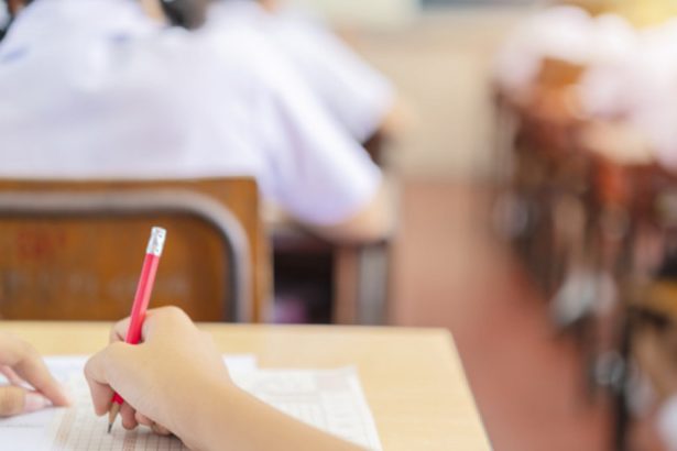 exclusiv ministrul educatiei vrea interzicerea predarii prin dictare sau copiere din manual masura trebuie sa fie drastica 6787889b8d904