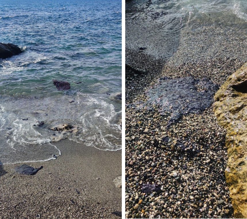 fechet mediu alerta de poluare la marea neagra cel mai mare dezastru ecologic din ultimii ani 6782859a51eca