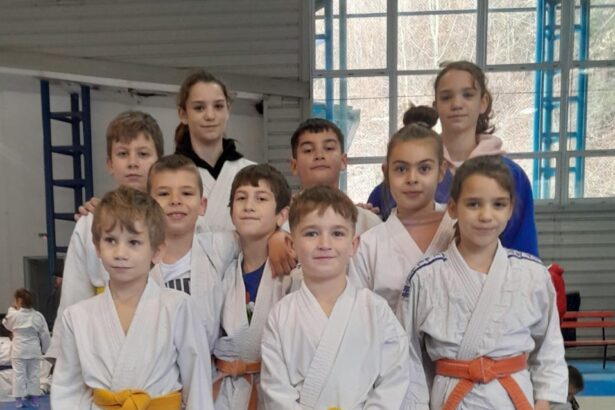final de an cu medalii pentru judoka de la cs pantheon constanta 6776d2b424dc7