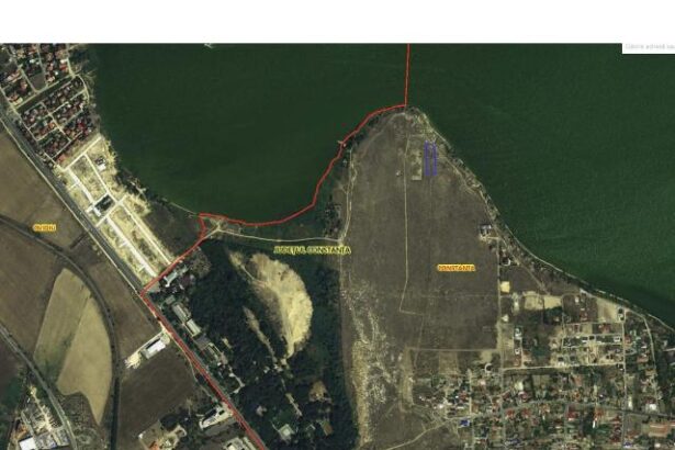 firma condusa de un antreprenor condamnat pentru ucidere din culpa pierde un teren valoros din constanta 677d72a1b1e3c
