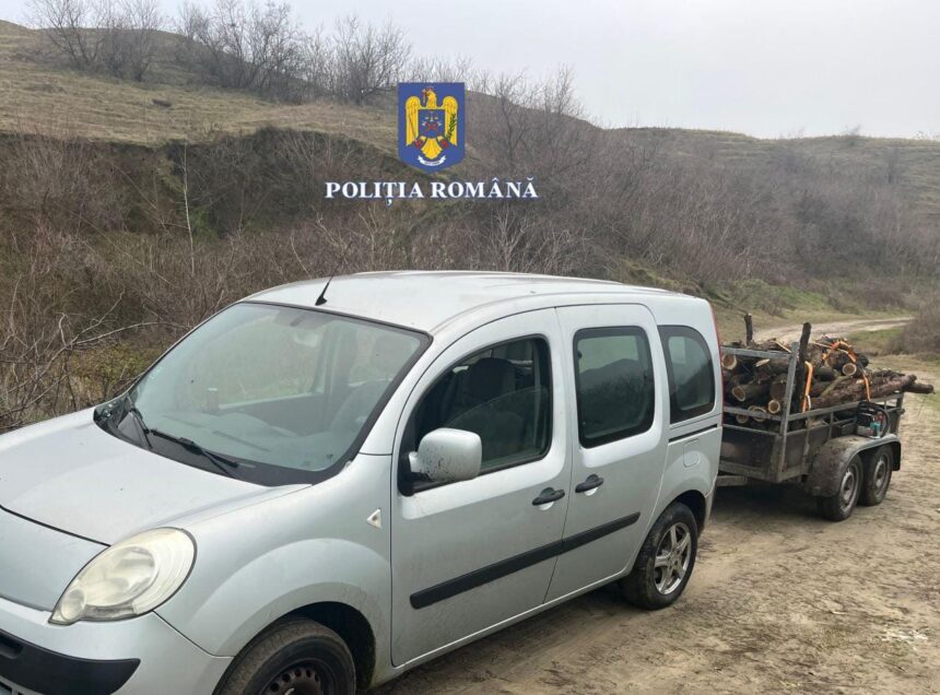 Doi bărbați au fost prinși la furat de lemne în ultima zi din an, la Gârliciu 1 foto doi barbati au fost prinsi la furat de lemne in ultima zi din an la garliciu 6775381c22541