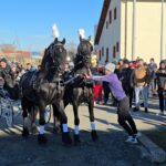 foto live continua traditia la mihail kogalniceanu azi are loc botezul cailor 677ba8e165012