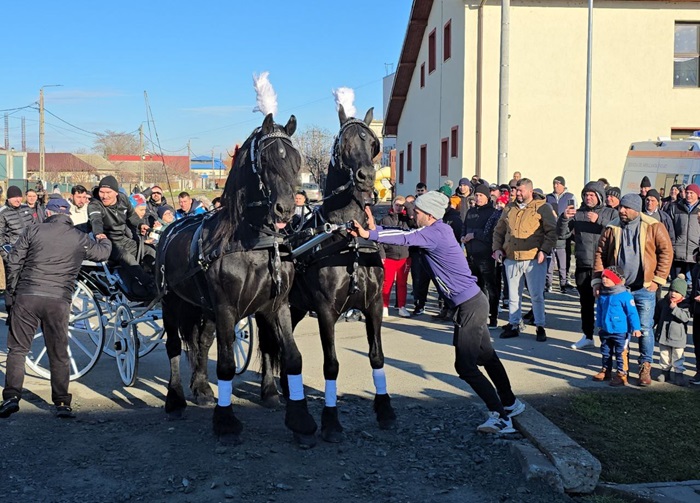 foto live continua traditia la mihail kogalniceanu azi are loc botezul cailor 677ba8e165012