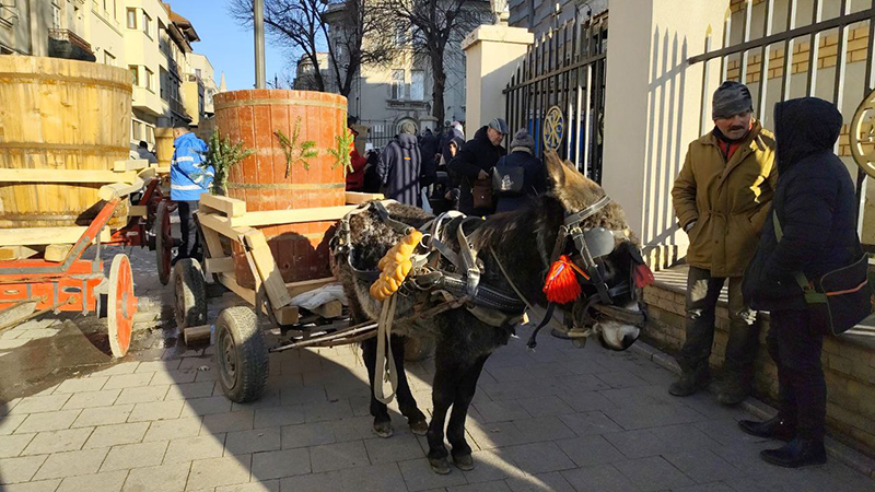 Mugurel, Bujor, Rendea, Mișcu și Pavarotti au revenit din Pecineaga, Tulcea și Brașov: Vor fi stropiți cu apă sfințită de IPS Teodosie 1 foto mugurel bujor rendea miscu si pavarotti au revenit din pecineaga tulcea si brasov vor fi stropiti cu apa sfintita de ips teodosie 677b894018e57