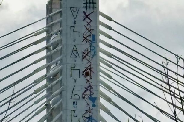 foto politia capitalei s a autosesizat si face cercetari dupa ce mai multe inscriptii legionare au fost desenate pe podul basarab 6786846f24ec7