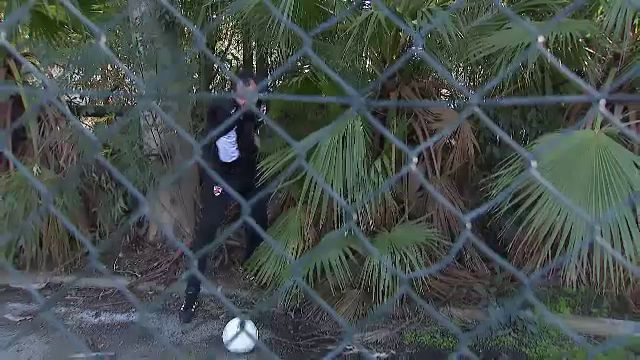 Ca pe maidan! Dinamo a pierdut mingea în 'boscheți' în amicalul cu FC Zurich: "Nu o văd" 1 foto si video ca pe maidan dinamo a pierdut mingea in boscheti in amicalul cu fc zurich nu o vad 677e9403cb436