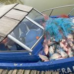 foto video ce descoperire au facut politistii garzii de coasta in complexul lagunar razim sinoe 678383e9200c0