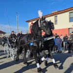 foto video cei mai frumosi cai din mihail kogalniceanu au facut spectacol astazi la competitia organizata de boboteaza ce spun proprietarii cabalinelor 677c0ed63e0ca