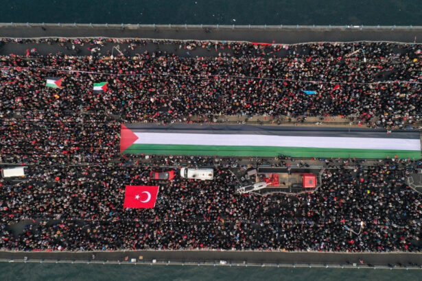 galerie foto protest urias la istanbul milioane de oameni au iesit in strada pentru palestina condamnand atacurile israeliene din gaza 677510868ebad